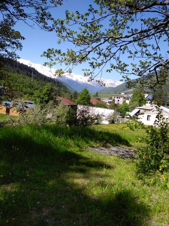 Gogi Jafaridze's Guesthouse room 1